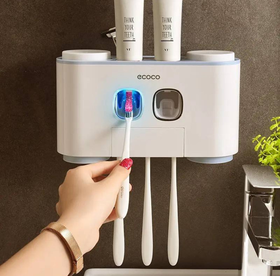 Support mural Ecoco pour brosses à dents avec distributeur de dentifrice